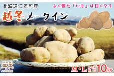 【早期予約 2026年2月より順次出荷】北海道産 越冬メークイン M・L混合 10kg　低温熟成　糖度アップ　訳あり　農家直送　越冬じゃがいも　越冬いも　よく寝たいも　甘い　芋の塩煮にぴったり　じゃがバター　いかの塩辛と一緒にどうぞ