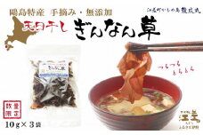 【数量限定】かもめ島特産 手摘み 天日干し 「天然ぎんなん草」 30g（10g×3袋）　無添加　無着色　日本海　ミネラル　低カロリー　天然海藻