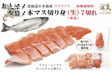 船上活〆北海道日本海産 本マス〈サクラマス〉切り身（生・無塩）7切れ　加熱調理用　小分けの食べ切りサイズ個包装　ふんわり食感　癖のない上品な旨みと脂のり　「鮭より美味い」という評判も　神経締め　活締め　桜鱒　サーモン