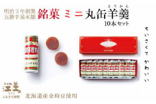 五勝手屋本舗『ミニ丸缶羊羹（ようかん）』10本セット　金時豆のようかん　保存料不使用　五勝手屋羊羹の老舗　和菓子　銘菓　名物　贈答用　ギフト