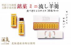 五勝手屋本舗『ミニ流し羊羹（ようかん）』10本セット　金時豆のようかん　保存料不使用　五勝手屋羊羹の老舗　和菓子　銘菓　名物　贈答用　ギフト