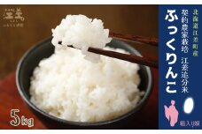 【新米先行予約】契約農家栽培 江差追分米『ふっくりんこ』【5kg】令和7年産　2025年産　北海道江差町産　北海道米　白米　精米　お米　おこめ　こめ　ご飯　ごはん　農家直送　単一原料米　ブランド米　ふっくら食感、ここちよい甘さ