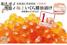 【漁獲次第で受付再開予定】《早期予約 10月下旬より順次出荷予定》船上活〆・神経〆北海道江差産 天然秋鮭の極上いくら醤油漬け 1kg　100gパック　国産　手作り　いくら　秋あじ　鮭　さけ　サーモン　新物