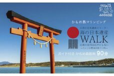 《かもめ島マリンピング2025》海の日本遺産ウォーク［2名 90分］　ガイド付きかもめ島散策　専属ガイドクルー同行　楽しい島探検　ネイチャーガイド　海上遊歩道　開陽丸記念館　歴史・文化財ガイド　水中考古学　アクティビティ　檜山道立自然公園特別エリア