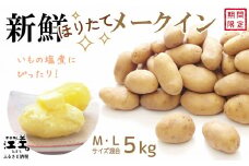 【8月頃～順次出荷】新鮮！ほりたて！「江差産メークイン5kg M・L混合」しっとりほくほく　甘い　北海道のメークイン　北海道産じゃがいも　じゃがバター　肉じゃが　カレー　シチュー　いもの塩煮