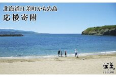 北海道江差町かもめ島応援寄附　江差のシンボル「かもめ島」の環境保全・景観保護・にぎわい創出支援【返礼品なし】