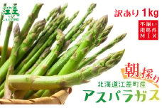 【夏芽順次収穫中】《訳あり》2025年 北海道江差町産 アスパラガス 1kg【サイズ不揃い・規格外MIX】　見た目は良くなくても鮮度や味は正規品と変わりません！　朝採り　農家直送　新鮮　鮮度保持　北海道　旬野菜　グリーンアスパラ　アスパラ　ご自宅用　無選別・規格外・ハネ物・B品