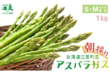 【夏芽順次収穫中】2025年 北海道江差町産 アスパラガス【S～Mサイズ】 1kg　40～50本　朝採り　農家直送　新鮮　鮮度保持　北海道　旬野菜　グリーンアスパラ　アスパラ　ギフト　贈答