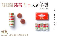 五勝手屋本舗『ミニ丸缶羊羹（ようかん）』5本セット　金時豆のようかん　保存料不使用　五勝手屋羊羹の老舗　和菓子　銘菓　名物　贈答用　ギフト