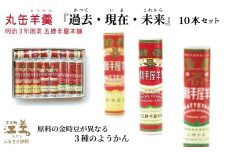 【数量限定】五勝手屋本舗『丸缶羊羹（ようかん）過去・現在・未来』10本セット　五勝手屋羊羹の「かつて・いま・これから」　金時豆　大正金時　紅金時　秋晴れ　ようかん　復刻　保存料不使用　老舗　和菓子　銘菓　ギフト　贈答