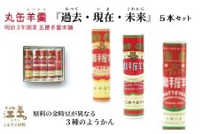 【数量限定】五勝手屋本舗『丸缶羊羹（ようかん）過去・現在・未来』5本セット　五勝手屋羊羹の「かつて・いま・これから」　金時豆　大正金時　紅金時　秋晴れ　ようかん　復刻　保存料不使用　老舗　和菓子　銘菓　ギフト　贈答