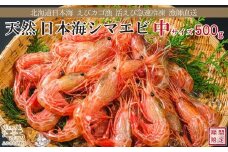 【早期予約・12月中旬以降 順次出荷予定】北海道産 違いが分かる天然日本海シマエビ 中サイズ 500g　色鮮やかで香りよし 濃厚な甘み 食べれば分かる格別の味！　国産　江差近海産　天然もの　エビかご漁師直送　最良品厳選　生食可　お刺身　唐揚げ　海老