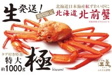 ＼10尾限定！早期予約・2026年3～4月限定出荷／生発送！【特大〈極〉】『北海道北前蟹』タグ付き特選 約1kg（冷蔵）　年にひと月だけの期間限定「生」出荷　北海道日本海産紅ずわいがに　カニかご漁師直販　厳格な鮮度管理　新鮮　甘くてジューシー　活カニ　生蟹　かに刺し　焼き蟹　蒸し蟹　かにみそ　かにしゃぶ　かに鍋　国産ベニズワイ