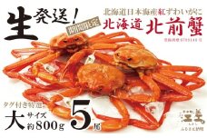 ＼早期予約・2026年3～4月限定出荷／生発送！【大5尾】『北海道北前蟹』タグ付き特選 約800g×5尾（冷蔵）　年にひと月だけの期間限定「生」出荷　北海道日本海産紅ずわいがに　カニかご漁師直販　厳格な鮮度管理　新鮮　甘くてジューシー　活カニ　生蟹　かに刺し　焼き蟹　蒸し蟹　かにみそ　かにしゃぶ　かに鍋　国産ベニズワイ