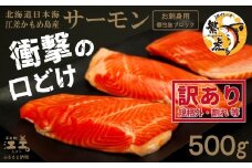 ＼配送時期指定可／【訳あり】北海道産 サーモン お刺身用ブロック 500g（約5～7パック前後）　日本海 かもめ島海面養殖　純国産 ブランドサーモン『江さしっ子 繁虎』　衝撃の口どけ　とろける脂　生食可　冷凍　小分け　個包装　トラウトサーモン　刺身　サーモンステーキ　カルパッチョ　海鮮　鮭　さけ　シャケ　しゃけ　さーもん　切り落とし　規格外