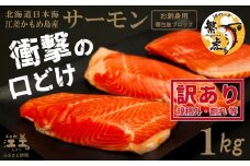 ＼配送時期指定可／【訳あり】北海道産 サーモン お刺身用ブロック 1kg（約10～14パック前後）　日本海 かもめ島海面養殖　純国産 ブランドサーモン『江さしっ子 繁虎』　衝撃の口どけ　とろける脂　生食可　冷凍　小分け　個包装　トラウトサーモン　刺身　サーモンステーキ　カルパッチョ　海鮮　鮭　さけ　シャケ　しゃけ　さーもん　切り落とし　規格外