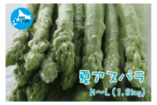 【2025年夏発送】刀祢農園の朝採り夏アスパラ　M～L（1.8㎏）　朝採れ　農家直送　新鮮　グリーンアスパラ　夏野菜　旬野菜　シャキシャキ　とれたて　北海道産