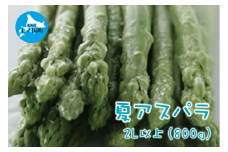 【2025年夏発送】刀祢農園の朝採り夏アスパラ　2L以上（800g）　朝採れ　農家直送　新鮮　グリーンアスパラ　夏野菜　旬野菜　シャキシャキ　とれたて　北海道産