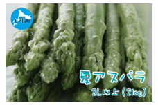 【2025年夏発送】刀祢農園の朝採り夏アスパラ　2L以上（2㎏）　朝採れ　農家直送　新鮮　グリーンアスパラ　夏野菜　旬野菜　シャキシャキ　とれたて　北海道産