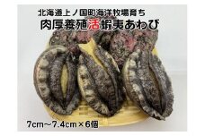 海洋牧場育ち養殖活蝦夷あわび（7㎝～7.4㎝×6個）　活アワビ　鮑　海鮮　産地直送　魚介類　海の幸　おせち　エゾアワビ　冷蔵　アワビ　BBQ　バーベキュー　蝦夷鮑