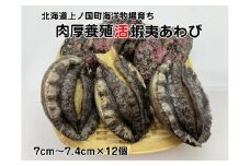 海洋牧場育ち養殖活蝦夷あわび（7㎝～7.4㎝×12個）　活アワビ　鮑　海鮮　産地直送　魚介類　海の幸　おせち　エゾアワビ　冷蔵　アワビ　BBQ　バーベキュー　蝦夷鮑
