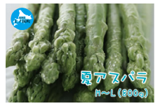 【2025年夏発送】刀祢農園の朝採り夏アスパラ　M～L（800g）　朝採れ　農家直送　新鮮　グリーンアスパラ　夏野菜　旬野菜　シャキシャキ　とれたて　北海道産