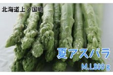 【2026年夏発送】刀祢農園の朝採り夏アスパラ　M～L（800g）　朝採れ　農家直送　新鮮　グリーンアスパラ　夏野菜　旬野菜　シャキシャキ　とれたて　北海道産