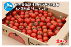 寅福菜園のミニトマト（4㎏）