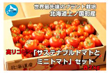 寅福菜園のサステナブルトマト＆ミニトマトセット（各2㎏）