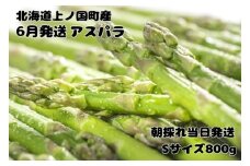【2026年6月発送】寅福菜園の朝採り6月限定アスパラ　S（800g）　グリーンアスパラ　朝採れ　農家直送　新鮮　ジューシー　特産品　北海道産