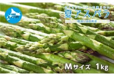 【2025年夏発送】寅福菜園の朝採り夏アスパラ　M（1㎏）