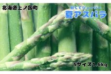 【2026年夏発送】寅福菜園の朝採り夏アスパラ　S（1.6kg）　グリーンアスパラ　朝採れ　農家直送　新鮮　甘い　夏野菜　旬野菜　特産品　北海道産 
