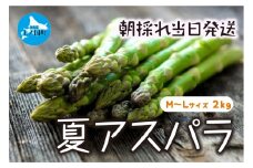 【2026年夏発送】わかさ農園の朝採り夏アスパラ　M～L（2㎏）　朝採れ　農家直送　新鮮　グリーンアスパラ　夏野菜　旬野菜　シャキシャキ　とれたて　北海道産