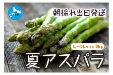 【2026年夏発送】わかさ農園の朝採り夏アスパラ　L～2L（2㎏）　朝採れ　農家直送　新鮮　グリーンアスパラ　夏野菜　旬野菜　シャキシャキ　とれたて　北海道産