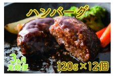 フルーツポークのハンバーグ（120g×12個）【10月･11月･12月定期便】　豚肉　精肉店ハンバーグ　豚ハンバーグ　肉汁　やわらかい　ぶたハンバーグ　北海道産　冷凍食品　手作りハンバーグ　BBQ　お弁当おかず