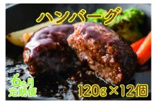 フルーツポークのハンバーグ（120g×12個）【9月･10月･11月･12月･1月･2月定期便】　豚肉　精肉店ハンバーグ　豚ハンバーグ　肉汁　やわらかい　ぶたハンバーグ　北海道産　冷凍食品　手作りハンバーグ　BBQ　お弁当おかず