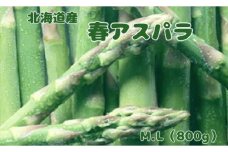 【2026年春発送】北海道上ノ国町産 刀祢農園の春アスパラ　M～L（800g） 北海道産　朝採れ　農家町送　グリーンアスパラ　春野菜　アスパラ　甘い　特産品