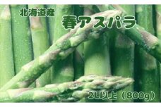 【2026年春発送】北海道上ノ国町産 刀祢農園の春アスパラ　2L以上（800g）北海道産　朝採れ　農家町送　グリーンアスパラ　春野菜　アスパラ　甘い　特産品