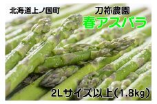 【2026年春発送】刀祢農園の朝採り春アスパラ　2L以上（1.8㎏）　グリーンアスパラ　朝採れ　農家直送　新鮮　甘い　春野菜　旬野菜　特産品　北海道産