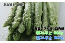 【2026年春夏発送】刀祢農園の朝採り春アスパラ2L以上（800g）と夏アスパラ2L以上（800g）の２回お届け