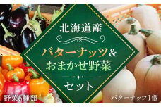 【2025年8月下旬より発送】バターナッツ1個とおいしい野菜おまかせセット（バターナッツ1個と野菜6種類） 【 ふるさと納税 人気 おすすめ ランキング 野菜 セット バターナッツ かぼちゃ 南瓜 北海道 厚沢部 送料無料 】 ASO010
