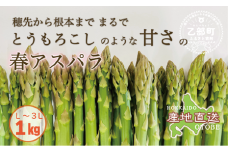 ＜北海道産 春採れグリーンアスパラ １㎏＞甘さ広がる春の味覚！ 北海道 北海道産 国産 産地直送 乙部町 旬 新鮮 採れたて 農家直送 あすぱら アスパラガス 野菜 冷蔵配送 L以上 お取り寄せ 送料無料