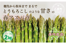 ＜北海道産 春採れグリーンアスパラ 2㎏＞甘さ広がる春の味覚！ 北海道 北海道産 国産 産地直送 乙部町 旬 新鮮 採れたて 農家直送 あすぱら アスパラガス 野菜 冷蔵配送 L以上 お取り寄せ 送料無料