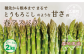 ※写真はイメージ見本となります