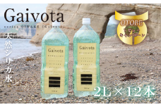＜Gaivota 2箱(2L×6本/箱)＞北のハイグレード食品 天然シリカ水 ミネラルウォーター 軟水 北海道産 北海道 乙部町 天然水 美容 ケイ素 無添加 シリカ ガイヴォータ 美肌 ミネラル 口当たり まろやか 備蓄 災害用 非常用