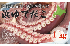 ＜漁師の浜ゆでたこ1kg＞北海道 道産 乙部町 乙部町産 蛸 タコ たこ足 タコ 刺身 唐揚げ おかず おつまみ 真空パック お土産 グルメ 国産 食品 海鮮 人気 おすすめ