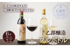＜乙部醸造ワイン 赤・白6本セッvト＞各720ml×各3本 北海道 道産 道産ワイン 北海道産ブドウ 飲み比べ 赤ワイン 白ワイン 富岡ワイナリー GI Hokkaido 認定ワイン