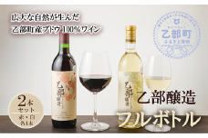 ＜乙部醸造ワイン 赤・白2本セット＞各720ml×各1本 北海道 道産 道産ワイン 北海道産ブドウ 飲み比べ 赤ワイン 白ワイン 富岡ワイナリー GI Hokkaido 認定ワイン
