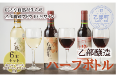 ＜乙部醸造ワイン ハーフボトル6本セット＞各360ml 赤×2、白×2、ミスタージンギスカン×2  北海道 道産 道産ワイン 北海道産ブドウ 飲み比べ 赤ワイン 白ワイン 富岡ワイナリー