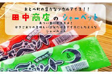 ＜田中商店 フルーツシャーベット詰め合わせ(イチゴ味10本 メロン味10本)＞昔なつかしの味！